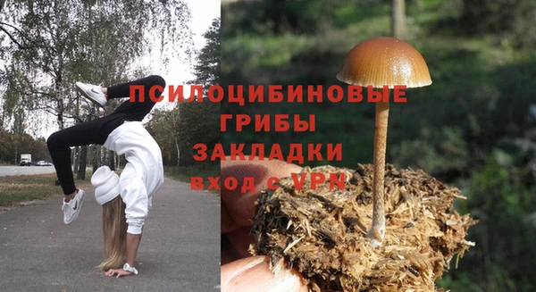 герыч Белокуриха