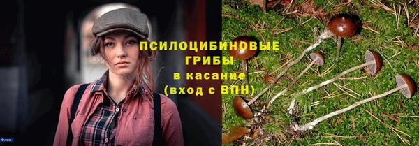 мдпв Беломорск