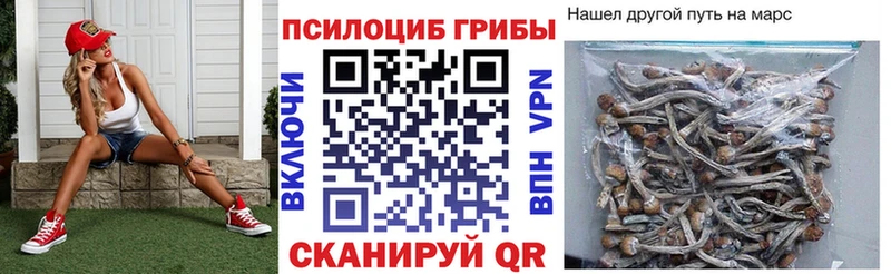 Галлюциногенные грибы прущие грибы Городовиковск