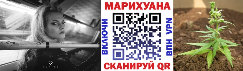 Бошки марихуана AK-47  площадка официальный сайт  Городовиковск  сколько стоит 